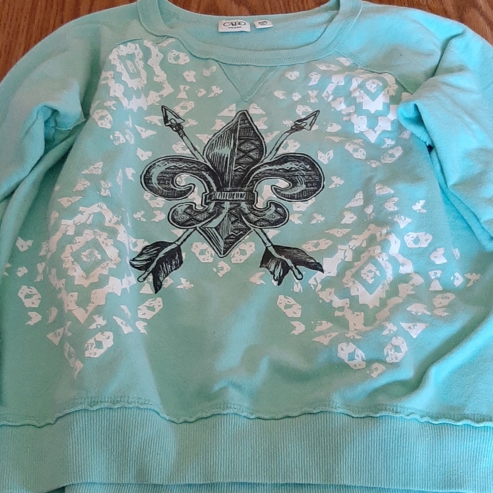 Turquoise fleur de lie sweatshirt